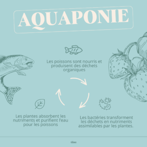 écosystème aquaponie